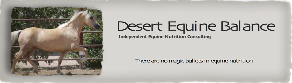 Desert Equine Balance